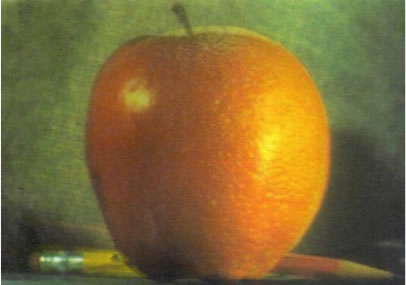 Orange-apple hybrid